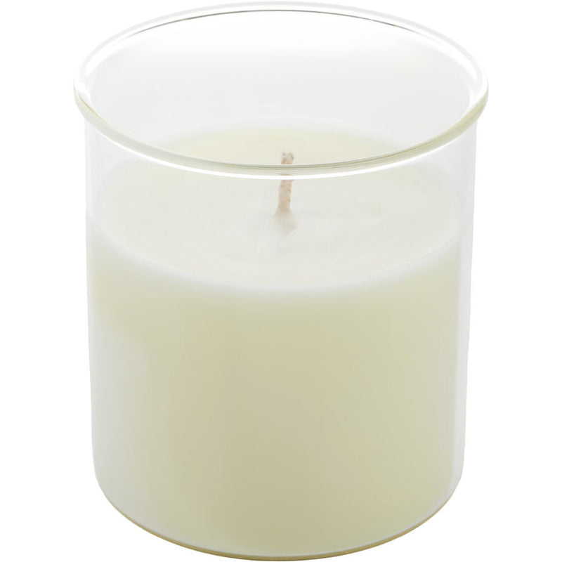 CELESTE FIG & MELON by Northern Lights (UNISEX) - ESQUE CANDLE INSERT 9 OZ